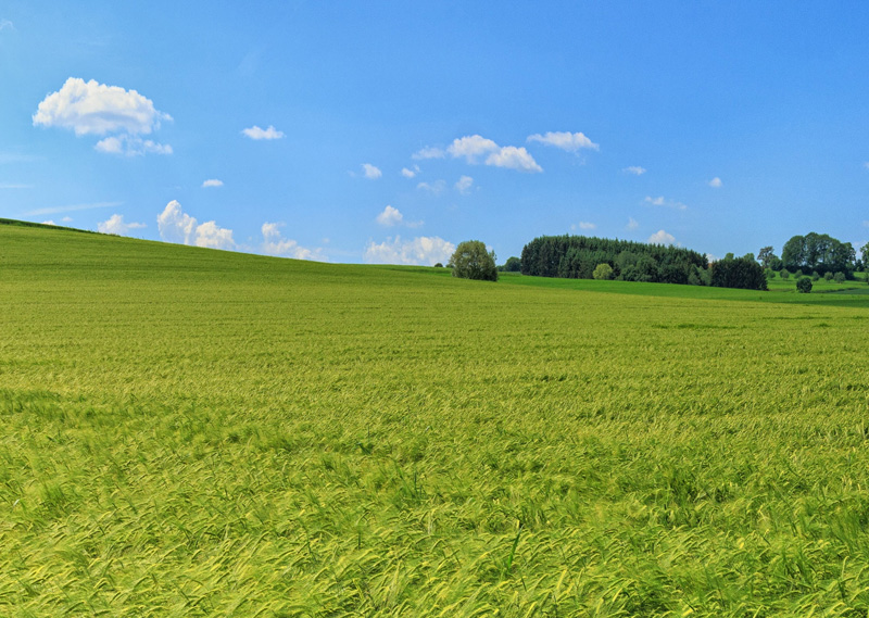 关于硒，你知道多少？什么是富硒，富硒对人体的好处